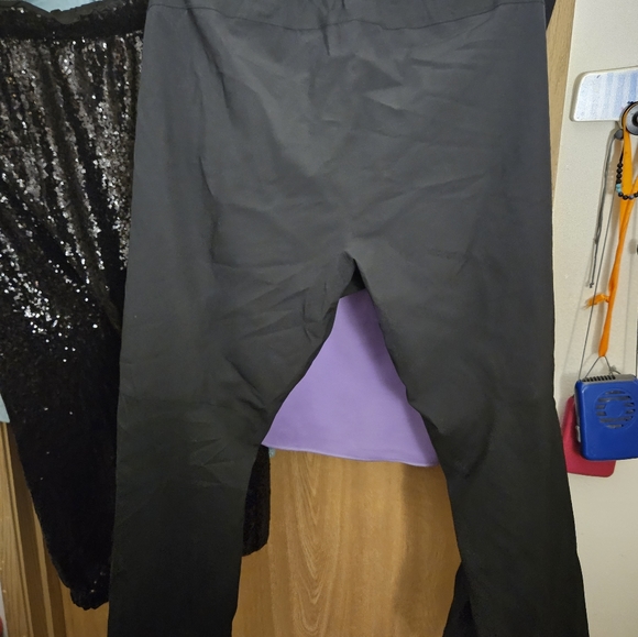 REI CO-OP PETITE XL TALOSPHERE PANTS - Picture 5 of 7